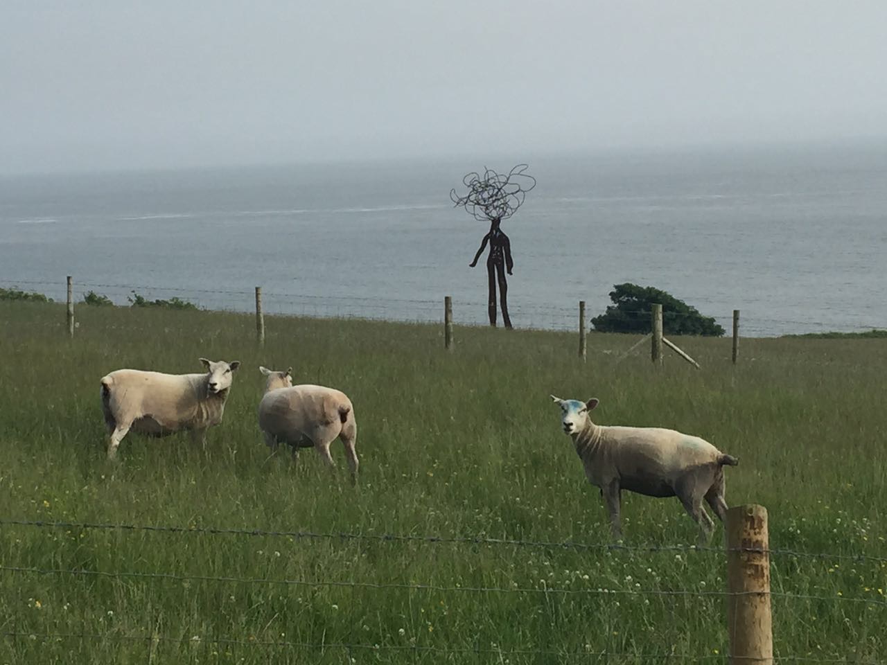 nadim karam public art at UWC Atlantic College, Wales