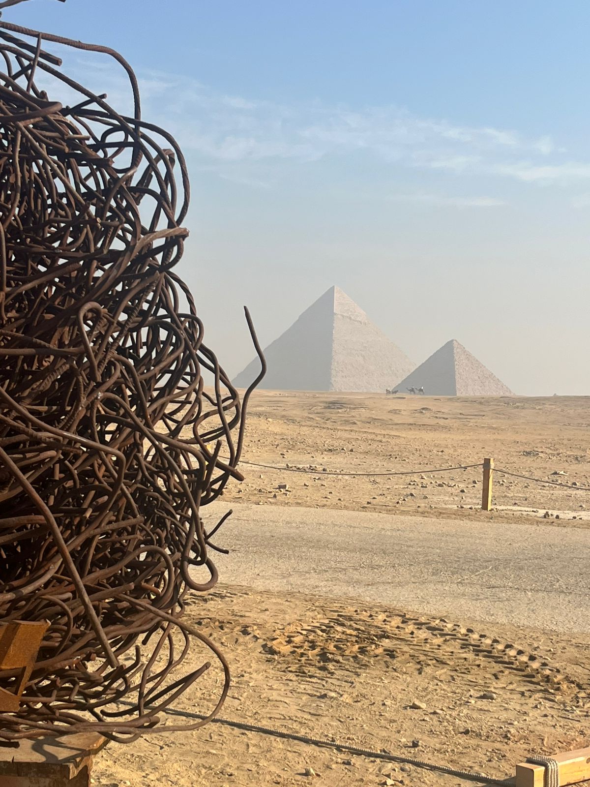 Nadim Karam Desert Flowers Art D'Egypte Sculptures public art