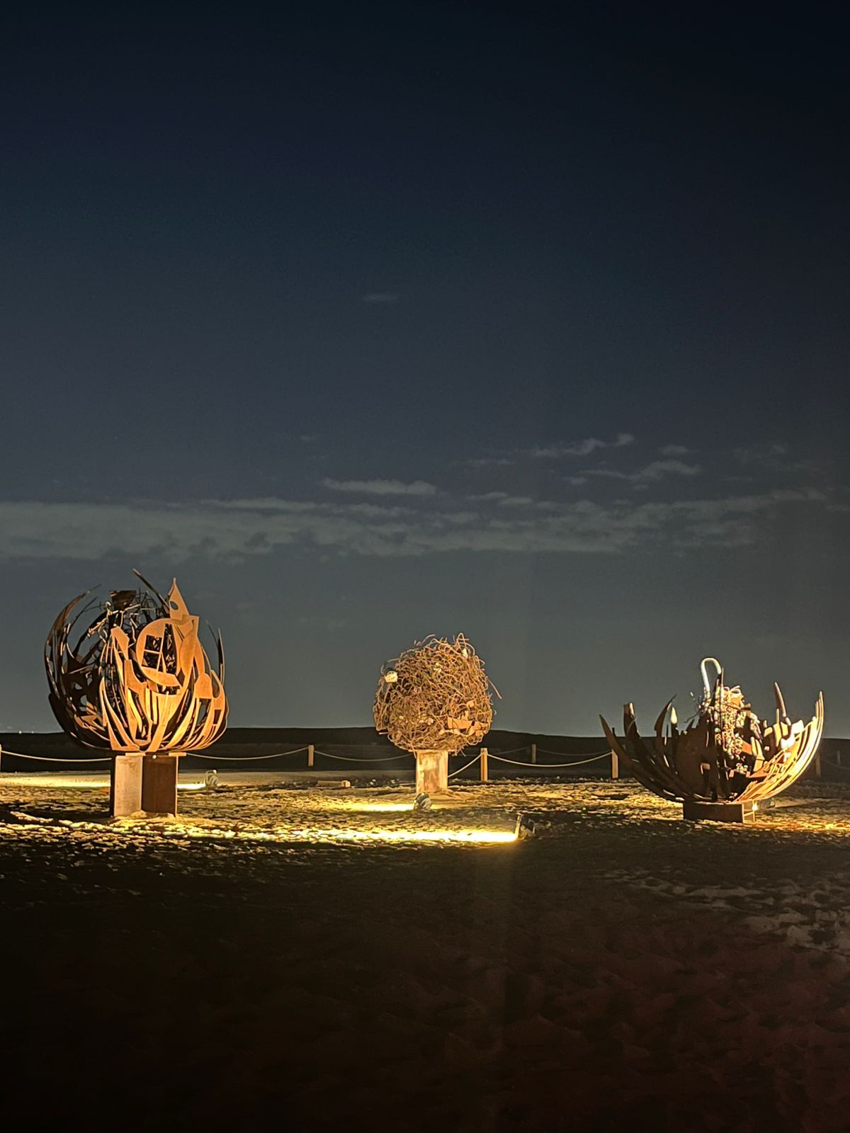 Nadim Karam Desert Flowers Art D'Egypte Sculptures public art